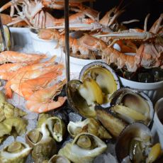 Envie de fruits de mer ?